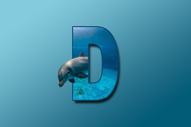 d英文logo