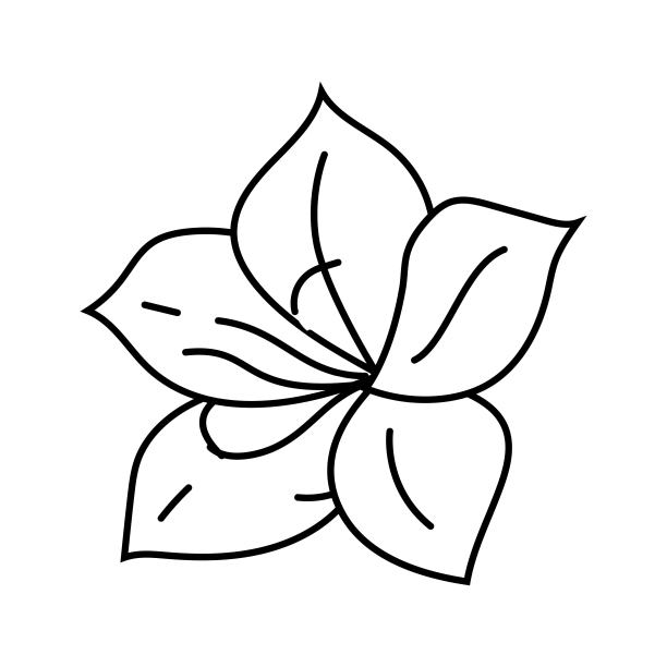 杜鹃花 logo