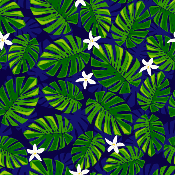 水果植物图案 西瓜 热带 装饰