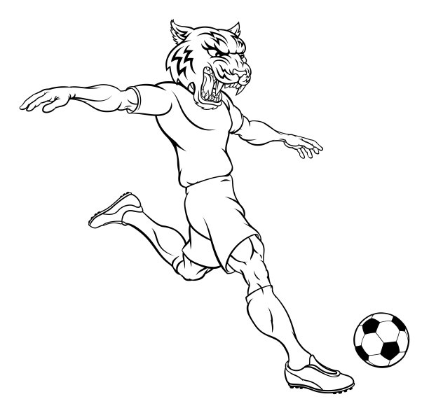 足球与豹