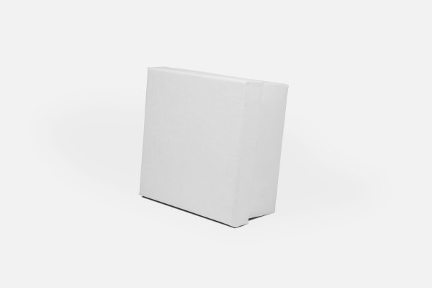 正方形纸盒效果图样机
