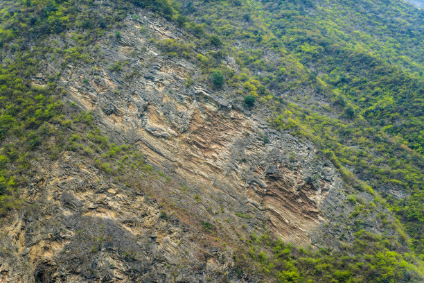 山谷,山,枝繁叶茂