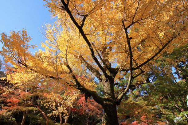 山西 秋天 