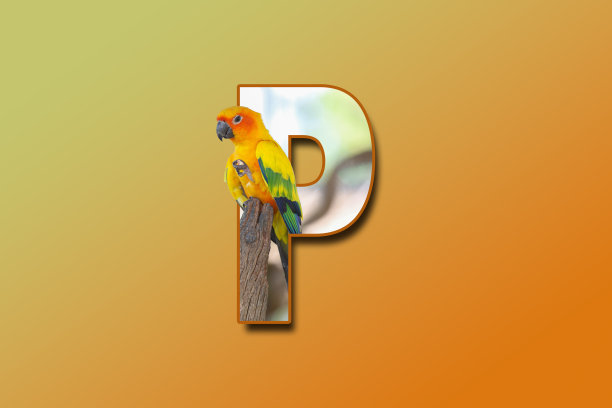 p英文logo