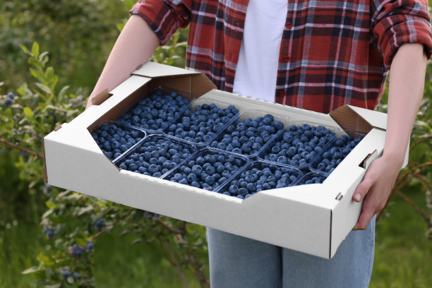 蓝莓手拎盒