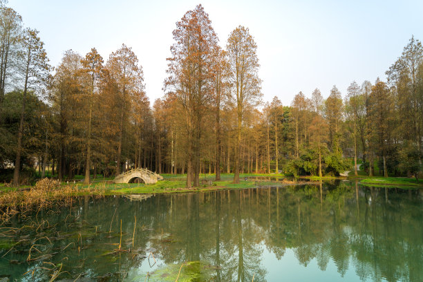 东湖生态旅游