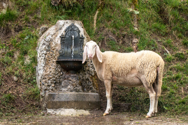 水上养殖场