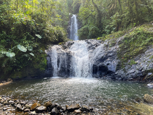 湿地远山丛林河流美景