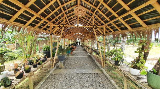 创意竹子建筑外观