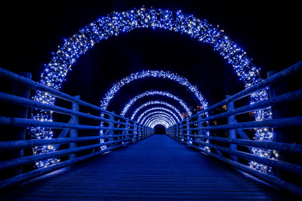 蓝色圣诞拱门