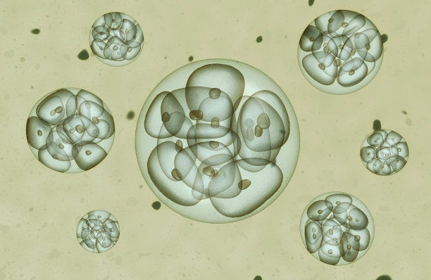 生物医学护肤基因科技背景