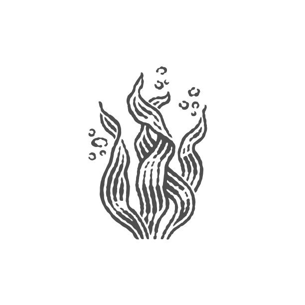 海苔紫菜logo