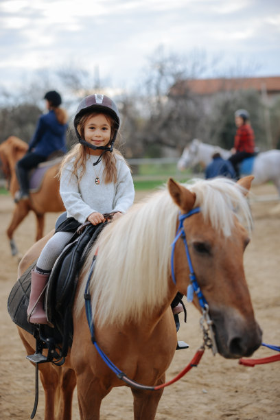 玩具马,儿童,职业赛马骑师