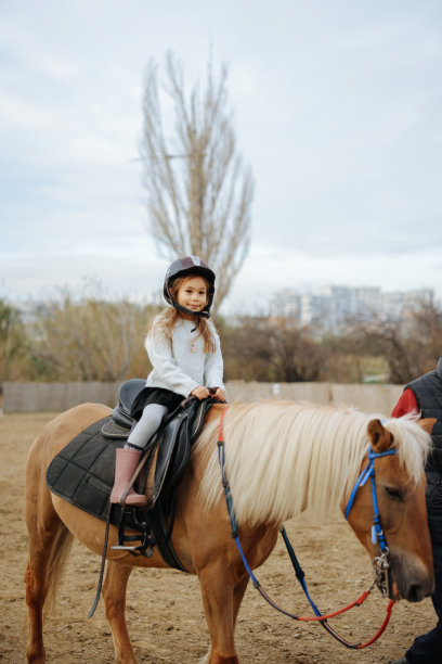 玩具马,儿童,职业赛马骑师