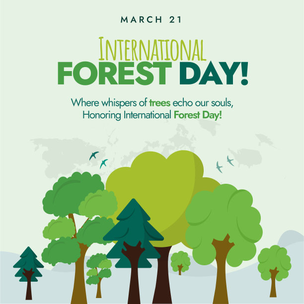 爱护环境 世界森林日
