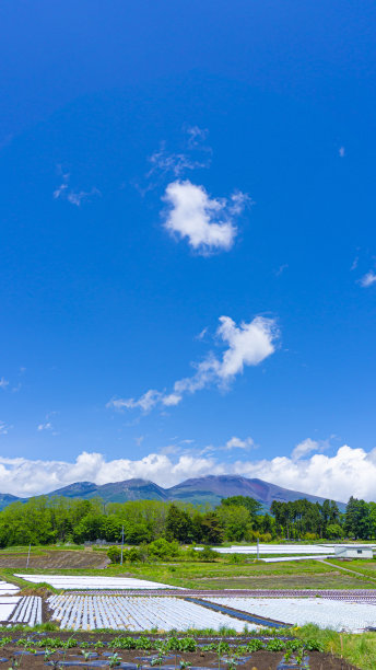 汽车夏日清凉