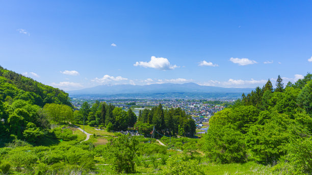 汽车夏日清凉