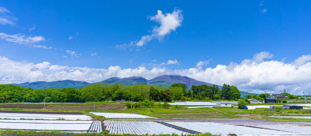 汽车夏日清凉