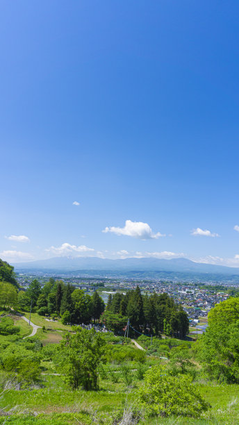 汽车夏日清凉