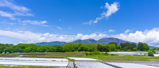 汽车夏日清凉