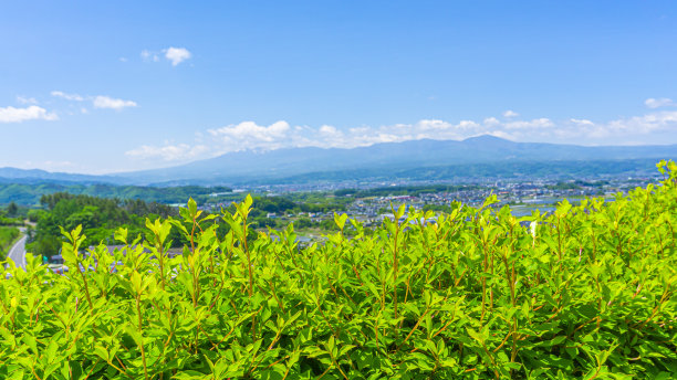 汽车夏日清凉