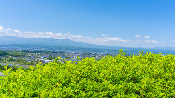 汽车夏日清凉