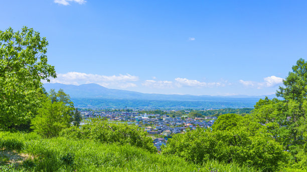 汽车夏日清凉