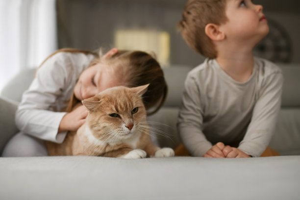 女孩抱着猫咪睡觉