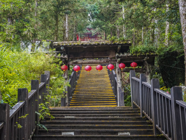 节能减排低碳出行