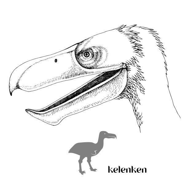 鸟的进化