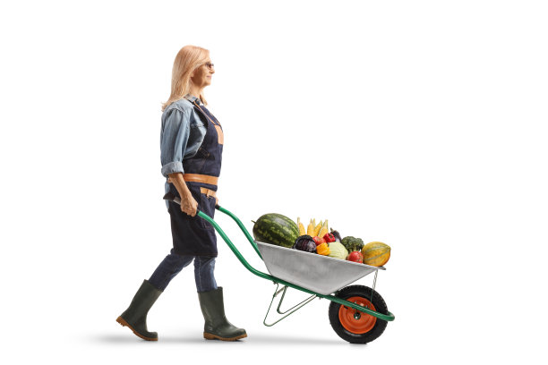 运输蔬菜的妇女
