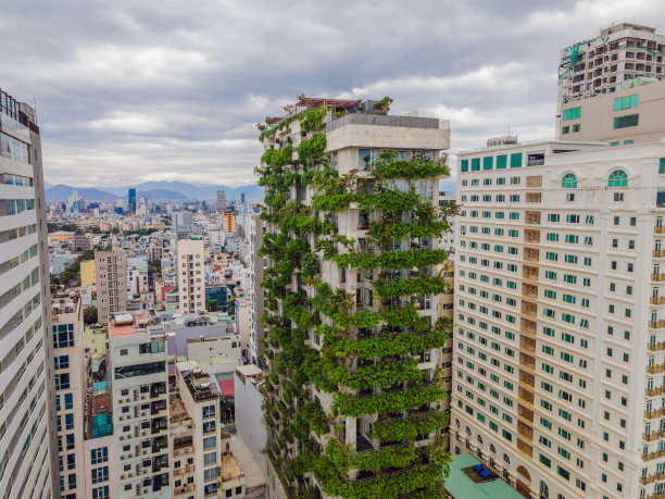 绿色环保绿化构建生态文明城市