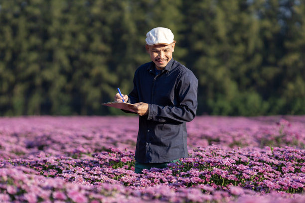 菊花名品