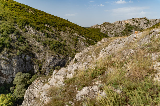 山林登山道