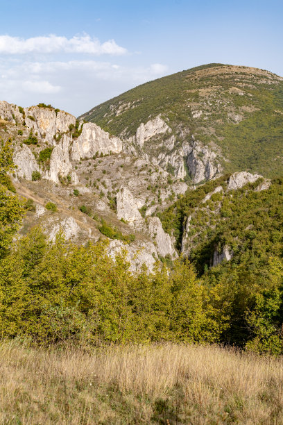 山林登山道