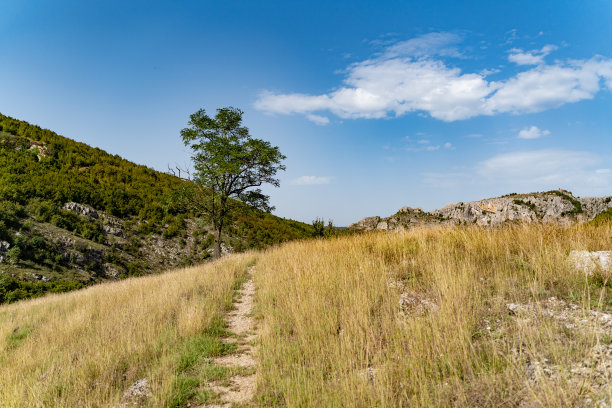 山林登山道