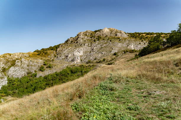 山林登山道