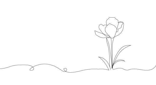 香薰礼盒-包装设计- logo