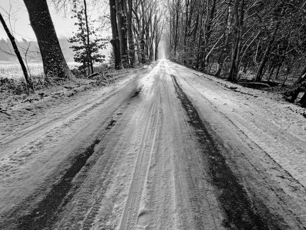 黑白照森林马路图片
