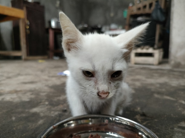 珍惜粮食就是热爱生命