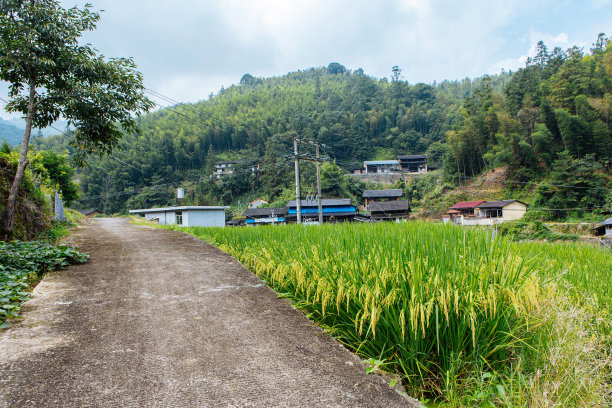 种业小镇