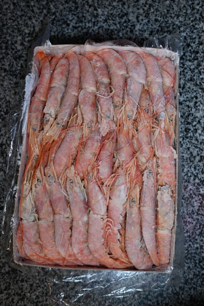 烤虾鲜虾图片