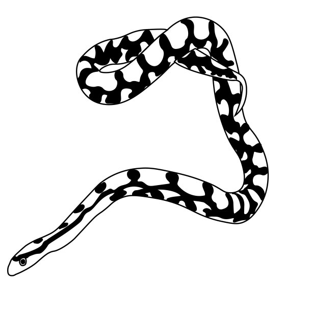 蛇形手镯