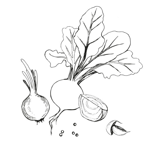 西兰花,花椰菜,豆