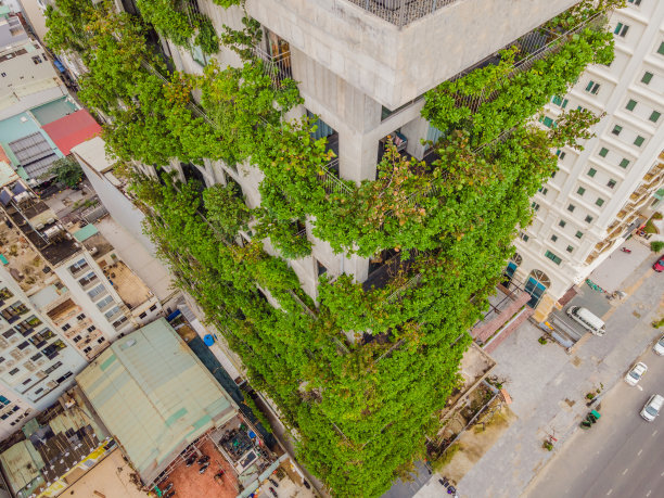 绿色环保绿化构建生态文明城市