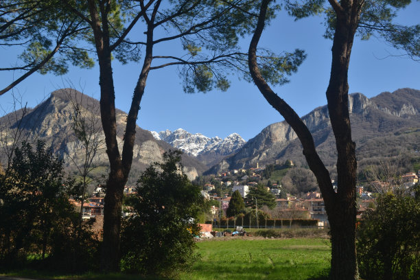 新年dp小景