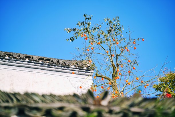 江西省建筑文明城市