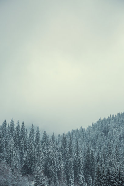 神秘,云景,雪山