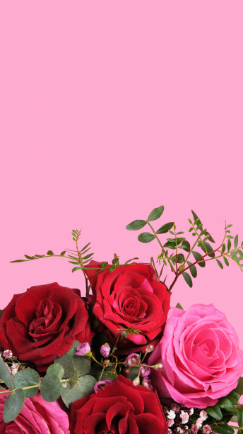 婚礼背景素材玫瑰花粉色平铺
