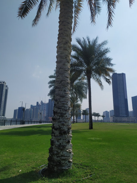 阿拉伯联合酋长国,豪华酒店,迪拜